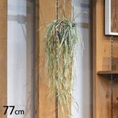 ��ץ��ꥹ �ϥ󥮥󥰥ݥå�