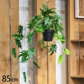 ���å��Х�� �ϥ󥮥󥰥ݥå�