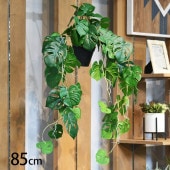 �ҥ��� �ϥ󥮥󥰥ݥå�