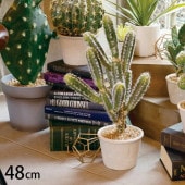 ¿����ʪ �������� �ݥå�