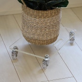 COLLEND ������ ������륭��꡼