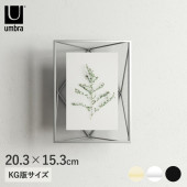 Umbra ֥ ץꥺ եȥǥץ쥤 46