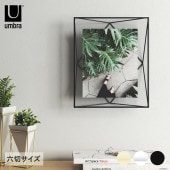 Umbra ����֥� �ץꥺ�� �ե��ȥǥ����ץ쥤 8��10