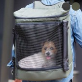 LIFELIKE 饤ե饤 2WAYܥå꡼