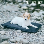 LIFELIKE �饤�ե饤�� LIFELIKE ����ե졼�����ޥå�