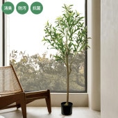 ýƥե륰꡼ 緿 ꡼