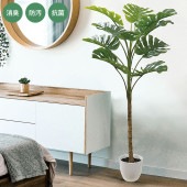 �ý������ƥ��ե�����륰�꡼�� �緿 ��󥹥ƥ�