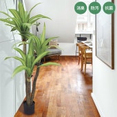 ýƥե륰꡼ 緿 ɥ饻