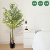 �ý������ƥ��ե�����륰�꡼�� �緿 ���쥫�ѡ���