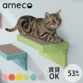 arneco �����ͥ� Board Nail �ܡ��ɥͥ���