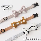 necotas+ �ͥ����� ǭ���� ����᥷���� �����եƥ� 8off