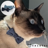 necotas+ �ͥ����� ǭ���� �ǥ˥� �����եƥ�