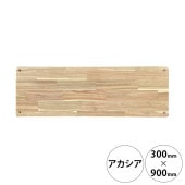 wonder shelf ������������� WS��������ê�� 17��300��900mm ñ��