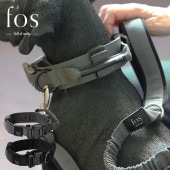 fos �Ρ��֥륫�顼