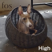 fos ���ɥ꡼�٥å� High