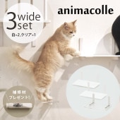 animacolle ���˥ޥ��� Catroad+ �磻�ɥ��ƥå� 3�����åȡ� ��2�����ꥢ1��