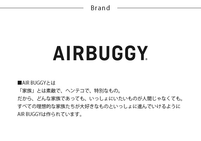 AIR BUGGY �����Х��� DOME3��C-CORE�ޥå� �쥮��顼