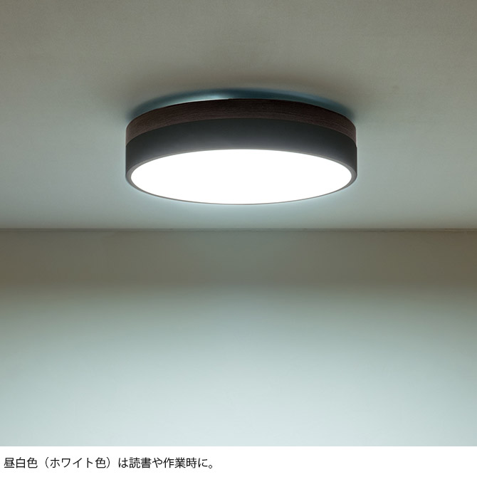 BRID �֥�å� Olika LED������󥰥饤�� Ver.2 Ĵ����Ĵ����