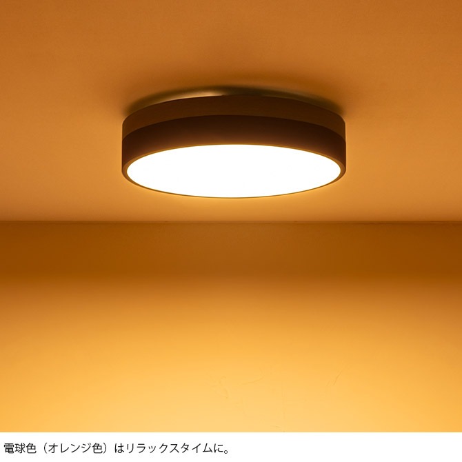 BRID �֥�å� Olika LED������󥰥饤�� Ver.2 Ĵ����Ĵ����