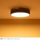 BRID �֥�å� Olika LED������󥰥饤�� Ver.2 Ĵ����Ĵ����