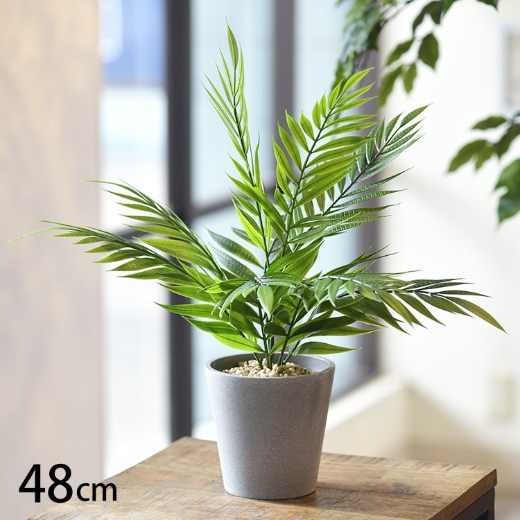 �ơ��֥�䥷 �ݥå�