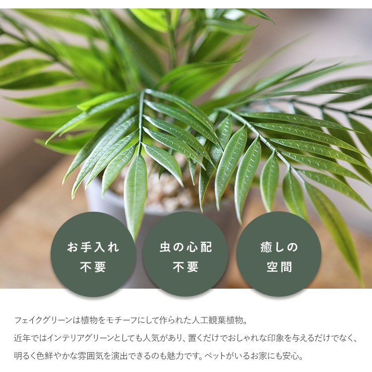 �ơ��֥�䥷 �ݥå�