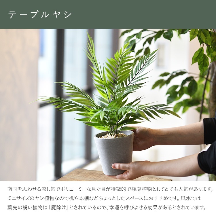 �ơ��֥�䥷 �ݥå�