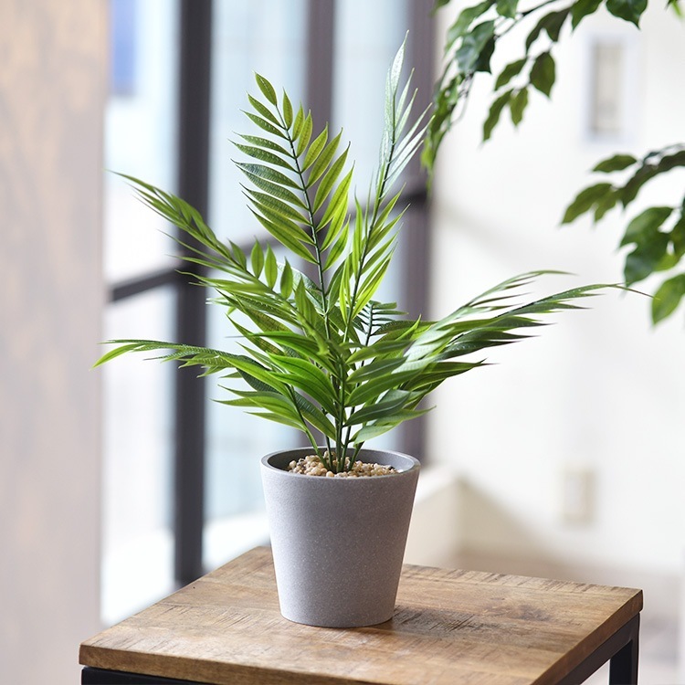 �ơ��֥�䥷 �ݥå�