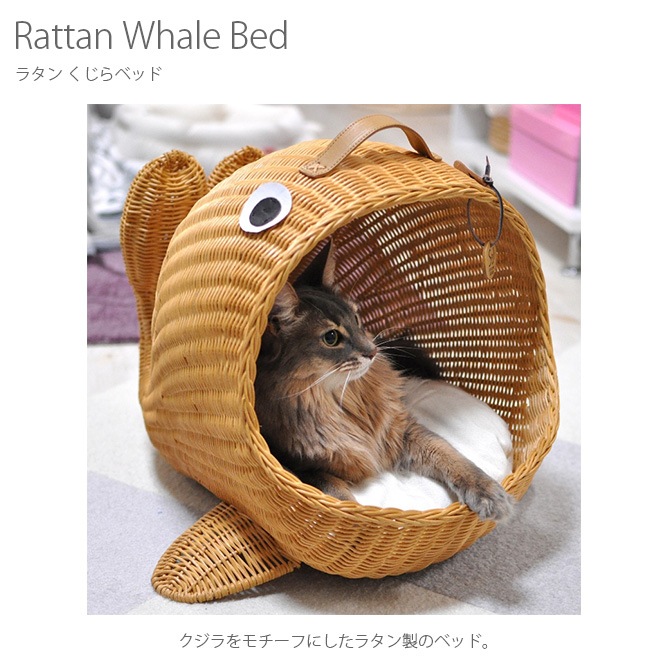�饿�� ������٥å�