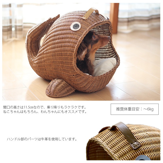 �饿�� ������٥å�