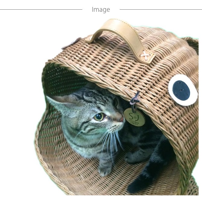 �饿�� ������٥å�