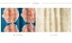 DESIGN LIFE �ǥ�����饤�� �����ƥ� ������� DAIRIN 1������ 100��200cm