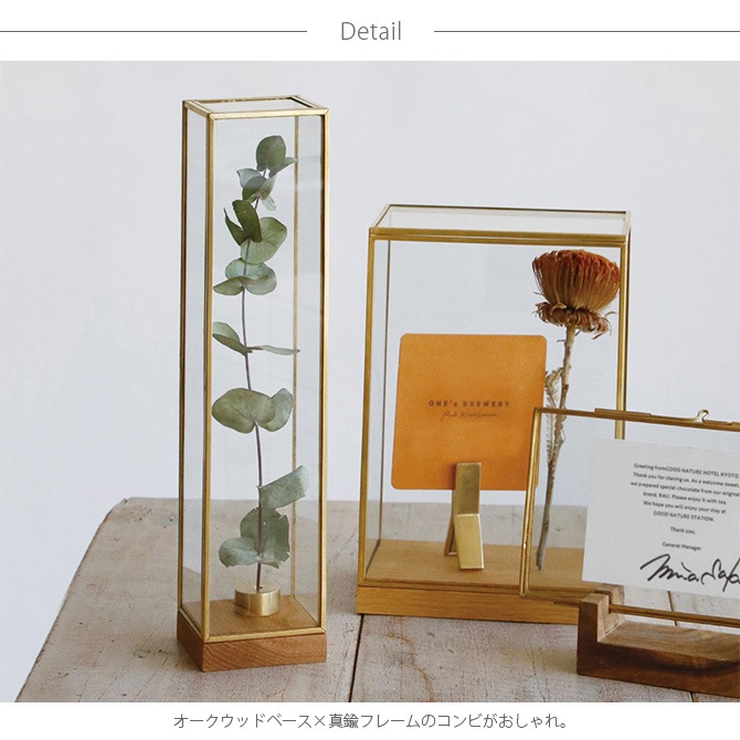 Horn Please ۡ ץ꡼ BRASSե졼 ǥץ쥤ܥå ȡ S