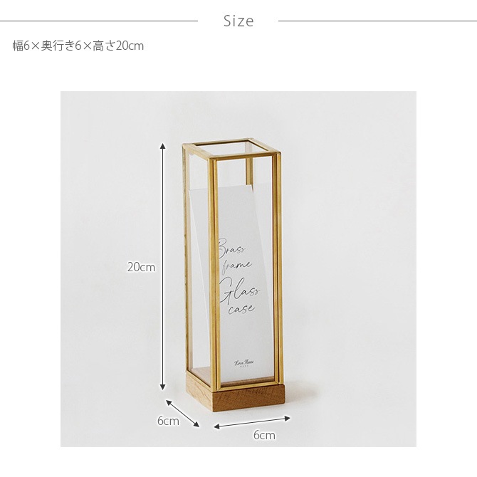 Horn Please ۡ ץ꡼ BRASSե졼 ǥץ쥤ܥå ȡ S