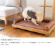 Fumi �ե� �ڥåȤΥ٥å� M������