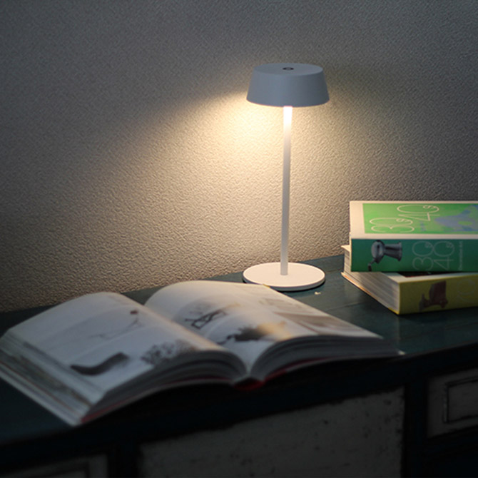BRID �֥�å� Olika �����ɥ쥹 LED�ơ��֥�饤��