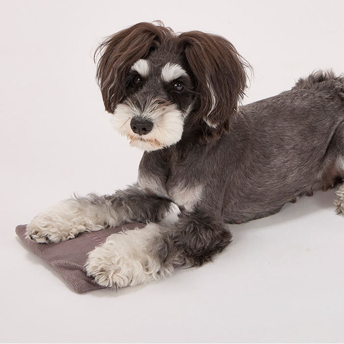 MANDARINE BROTHERS �ޥ�����֥饶���� �ۥåȥѥå� L