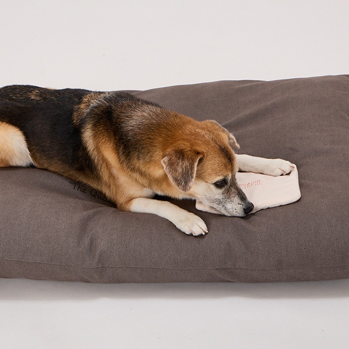 MANDARINE BROTHERS �ޥ�����֥饶���� �ۥåȥѥå� L