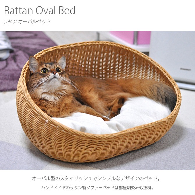 �饿�� �����Х�٥å�