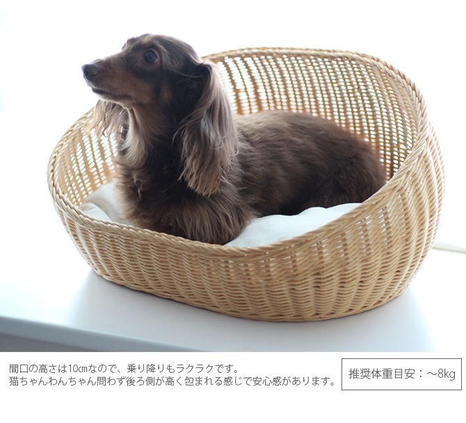 �饿�� �����Х�٥å�