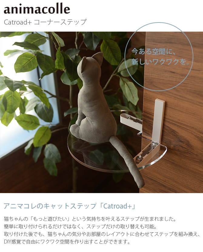 animacolle ���˥ޥ��� Catroad+ �����ʡ����ƥå�