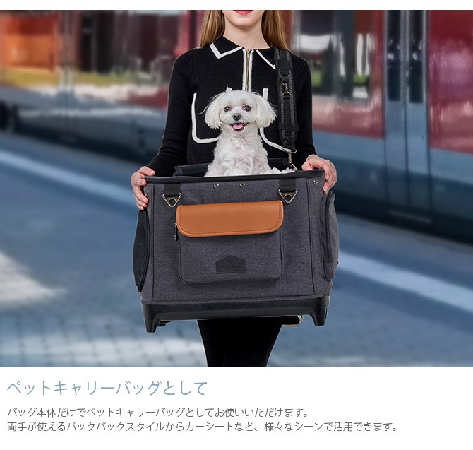 Royal Tails Alice ����꡼�Хå�&�����ȥե졼��