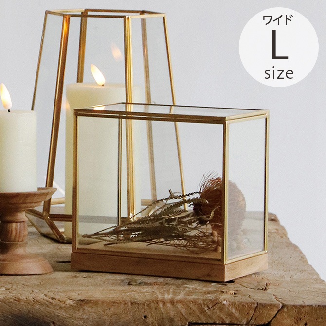 Horn Please ۡ ץ꡼ BRASSե졼 ǥץ쥤ܥå 磻 L