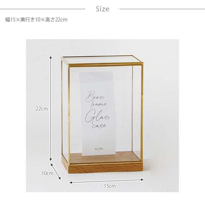 Horn Please ۡ ץ꡼ BRASSե졼 ǥץ쥤ܥå 磻 L