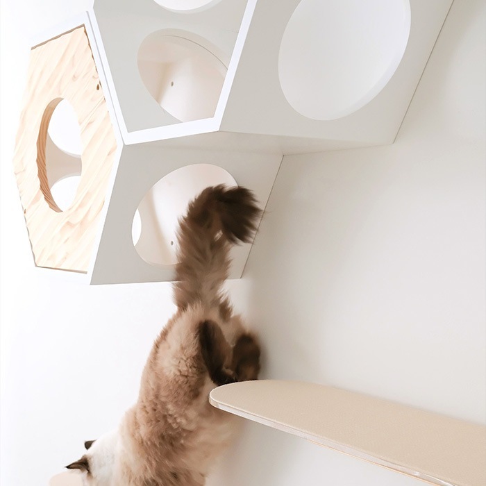 MYZOO �ޥ����� Lack S���ѡ����ߤ�ޥå�(4����)