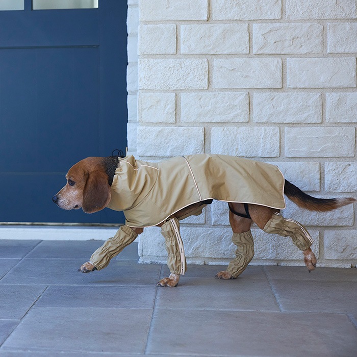 MANDARINE BROTHERS �ޥ�����֥饶���� �쥤���å����С���L��XL