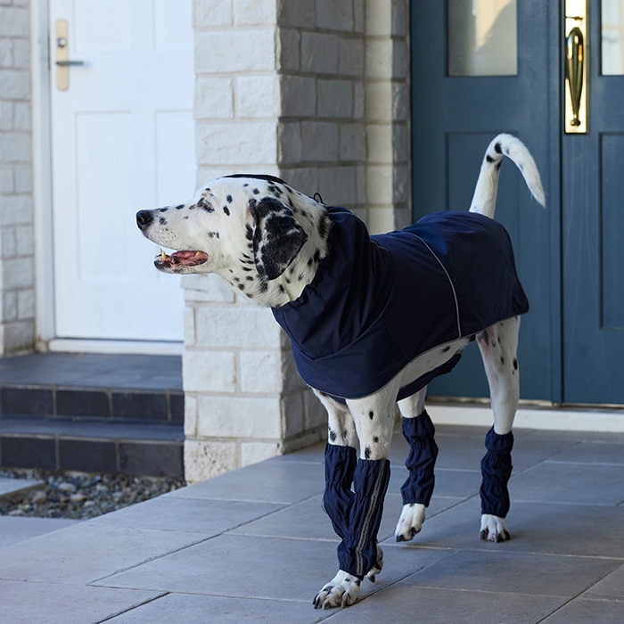 MANDARINE BROTHERS �ޥ�����֥饶���� �쥤���å����С���L��XL