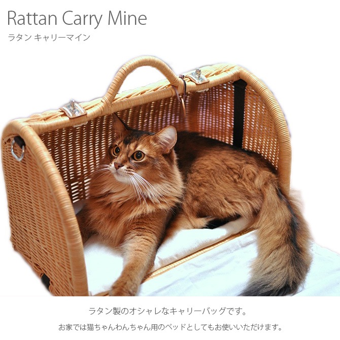 �饿�� ����꡼�ޥ���