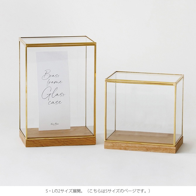 Horn Please ۡ ץ꡼ BRASSե졼 ǥץ쥤ܥå 磻 S