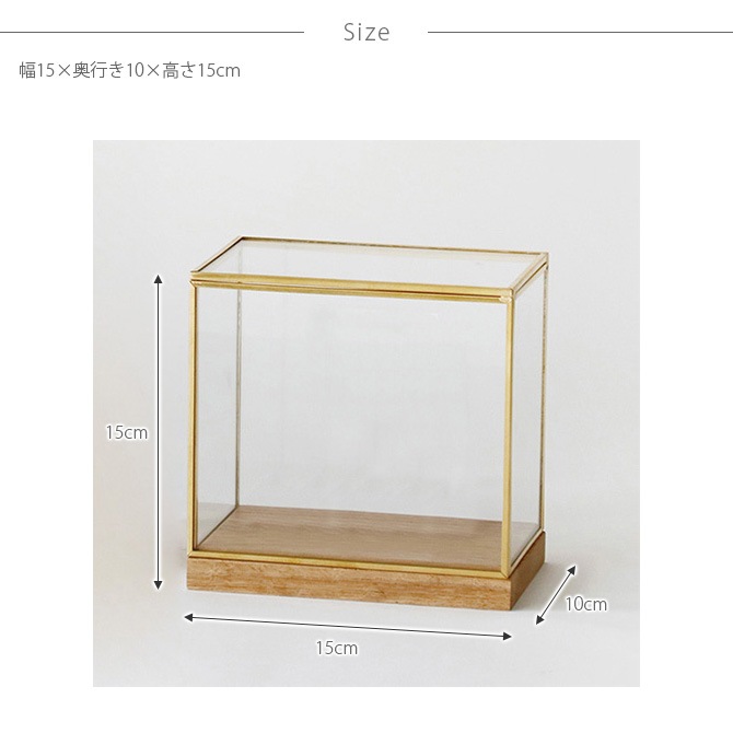 Horn Please ۡ ץ꡼ BRASSե졼 ǥץ쥤ܥå 磻 S